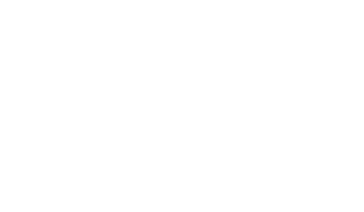 ceramic revolution white logo wings